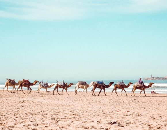 Essaouira 