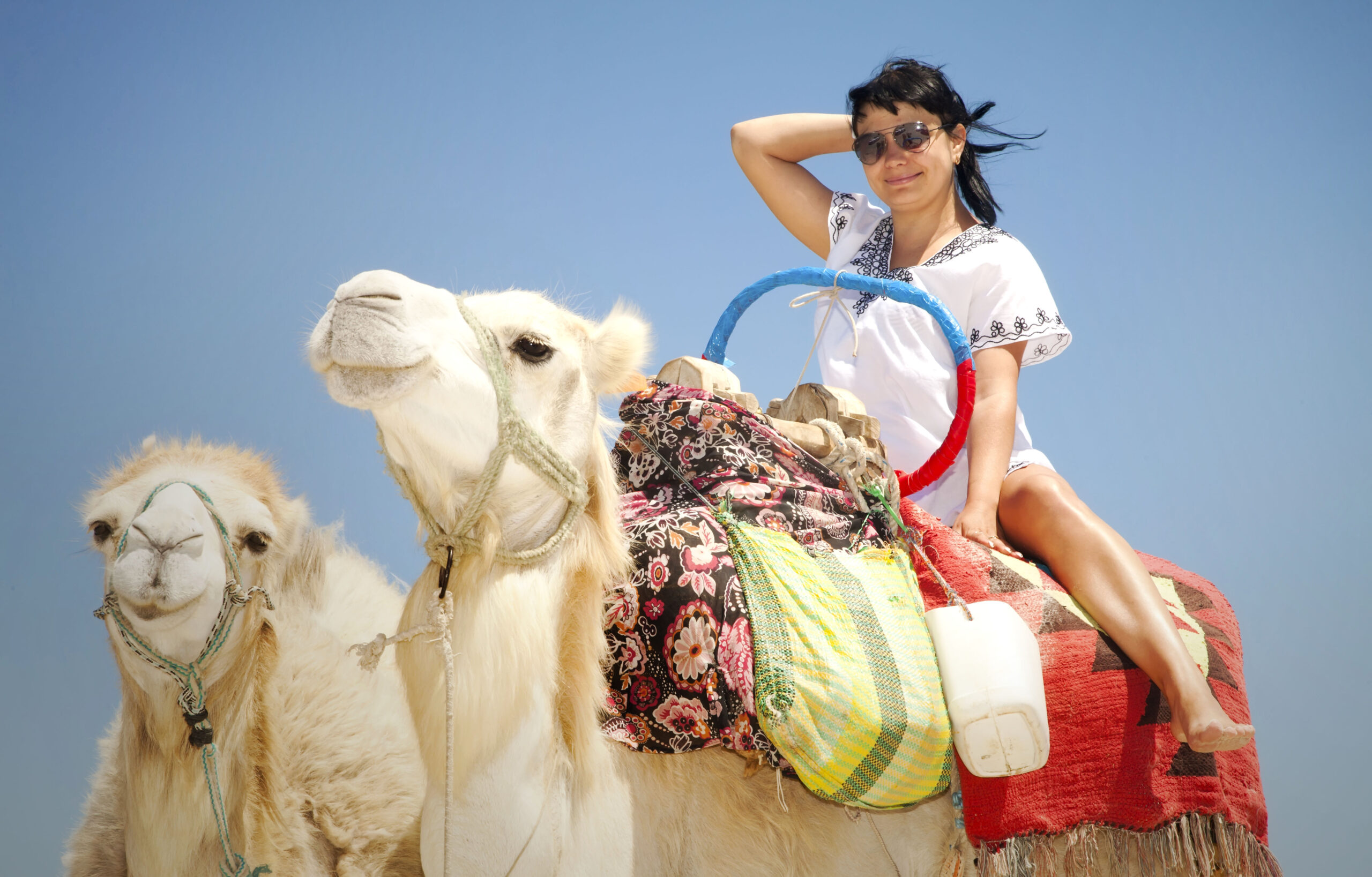 Top Adventures: Camel Rides