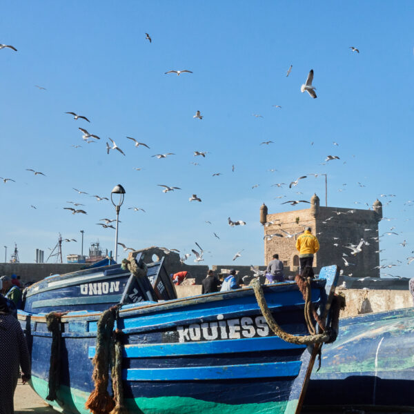 Essaouira 